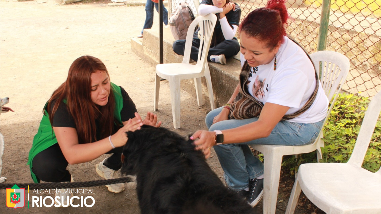 54_imagen-identificacion-mascotas Funcionaria atendiendo a una mascota junto a su dueña